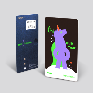 CoolWallet Pro x Do Your Own Research by Muzixiii